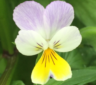 The 2018 season has begun